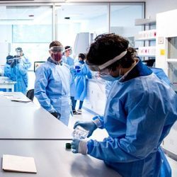 Lab professionals wearing PPE work in Northeastern's Life Science Testing Center