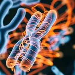 Illustration of a DNA chromosome being wrapped with orange glowing streams of light