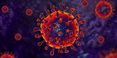 Illustration of the coronavirus with spike proteins on its round surface