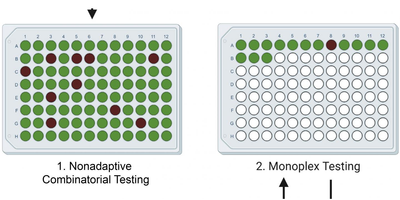 Diagram of the high-throughput covid-19 screen