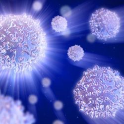 A Simple Workflow Helps Labs Accelerate Immunotherapy Lead Candidates A Simple Workflow Helps Labs Accelerate Immunotherapy Lead Candidates