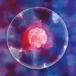Illustration of a circular germline cancer cell