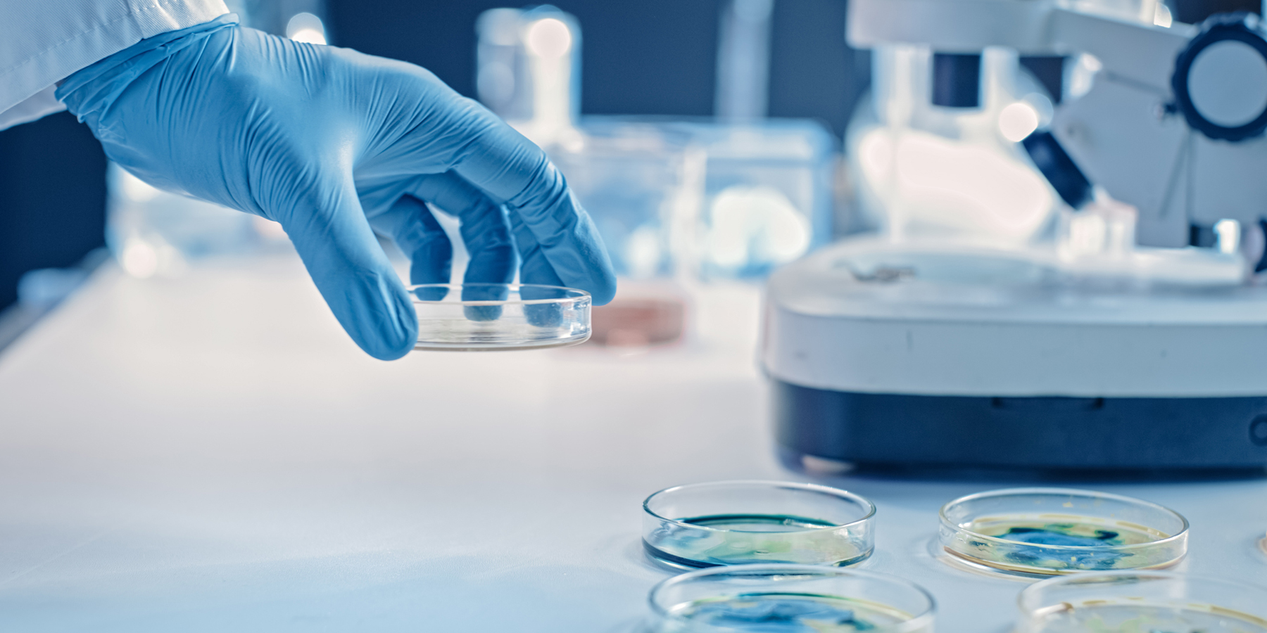 Photo of a clinical lab professional wearing PPE and holding a petri dish with CAR T cells in it on top of a lab bench