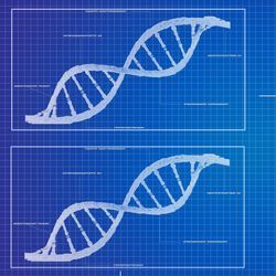 Illustration of DNA double helix next to a cancer cell illustration