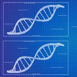 Illustration of DNA double helix next to a cancer cell illustration