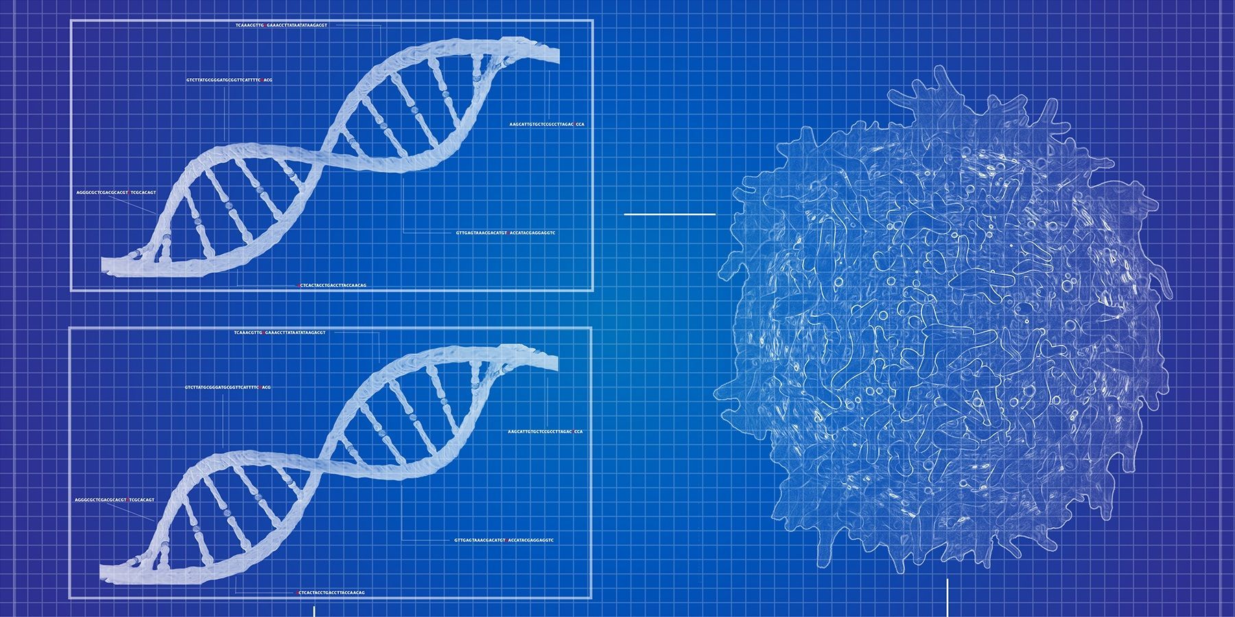 Illustration of DNA double helix next to a cancer cell illustration