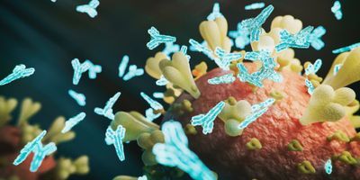 Illustration of COVID-19 antibodies in plasma