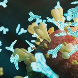 Illustration of COVID-19 antibodies in plasma