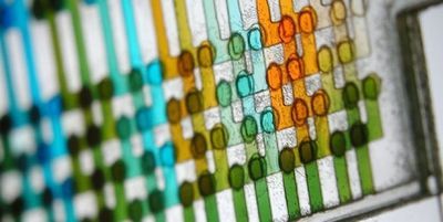 Photo of a microfluidic device