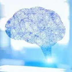 Illustration of a human brain draw with lots of lines and connections