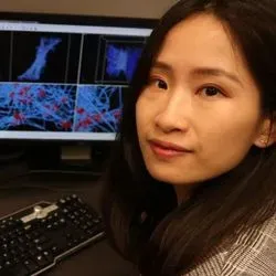 Researcher working at a computer