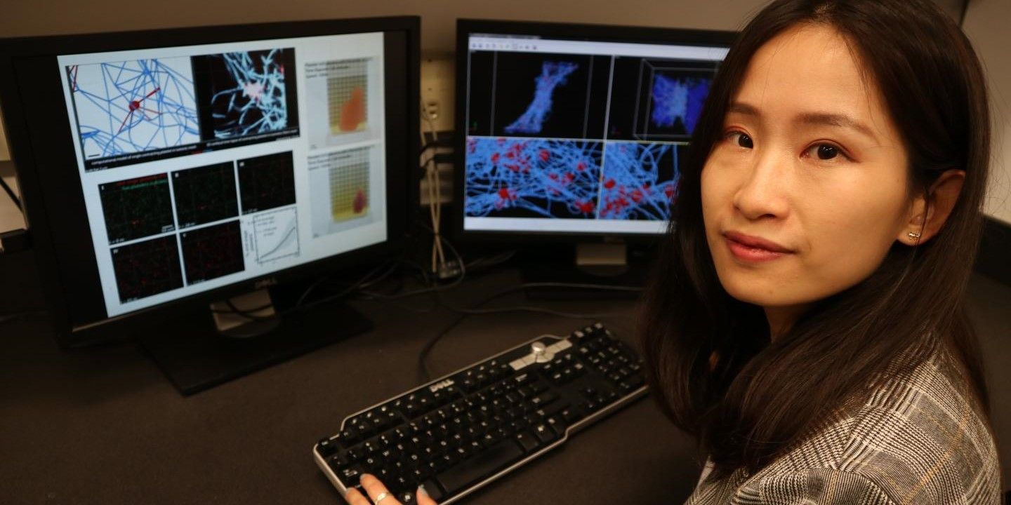Researcher working at a computer