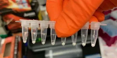 Researcher holding a line of PCR tubes