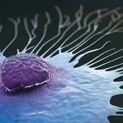 Illustration of a cancer cell with tentacle-like protrusions spreading out from its center