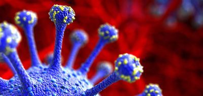 Image of Coronavirus cell