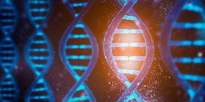 Image of multiple DNA strands, one is illminated