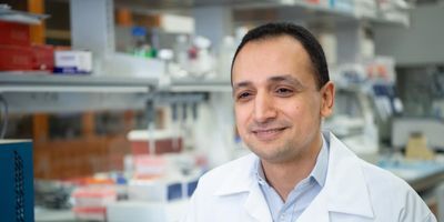 Dr. Mohamed Abdel-Mohsen