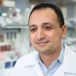 Dr. Mohamed Abdel-Mohsen