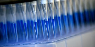 Blue-stained swab material from corona tests is prepared for analysis in a sequencing device with the help of a laboratory robot.