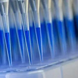 Blue-stained swab material from corona tests is prepared for analysis in a sequencing device with the help of a laboratory robot.