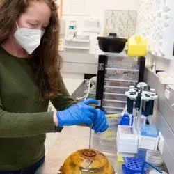 NIST engineer Katy Keenan opens Phreddie, a phantom for calibrating MRI machines that is traceable to standardized values. The phantom is filled with small plastic containers of various salt solutions that mimic tissues of the human body.