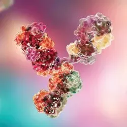 Illustration of an antibody molecule