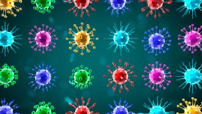 Tracking New COVID-19 Variants with Bioinformatics