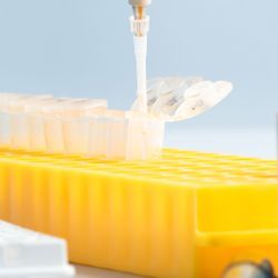 What to Consider When Choosing a PCR Master Mix