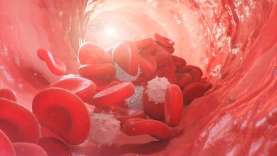 COVID-19 May Cause Long-Term Changes to Blood Cells