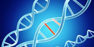 Image of variant DNA