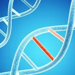 Image of variant DNA