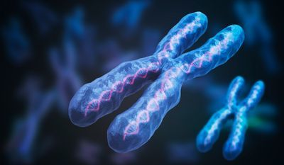 Optimal Genome Mapping Could Revolutionize Cytogenetics