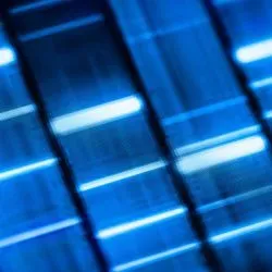 Image of a DNA test