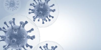 Image of coronavirus