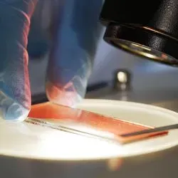 Researcher using a microscope