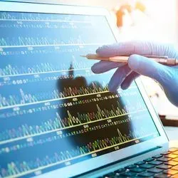 Researcher looking at DNA sequences