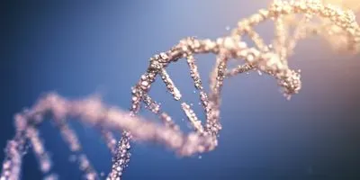 Image of DNA