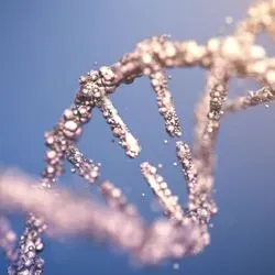 Image of DNA