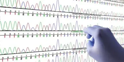 Researcher looking at genetic data
