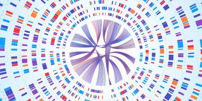 Solving Rare Disease Mysteries with Genomics