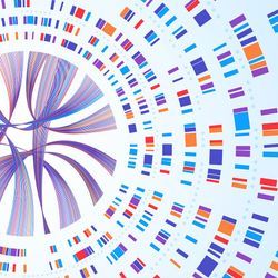 Solving Rare Disease Mysteries with Genomics Solving Rare Disease Mysteries with Genomics