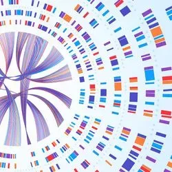 Solving Rare Disease Mysteries with Genomics