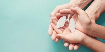 Hands holding a pair of plastic lungs
