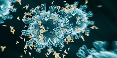 COVID-19 viruse being attacked by antibodies