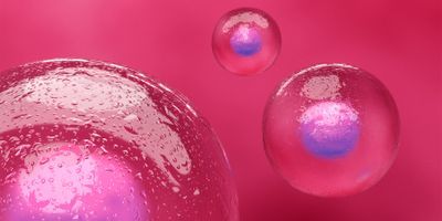Image of blood stem cells