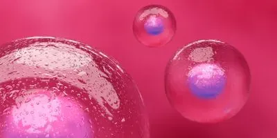 Image of blood stem cells