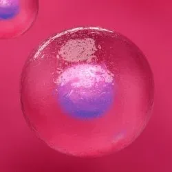 Image of blood stem cells