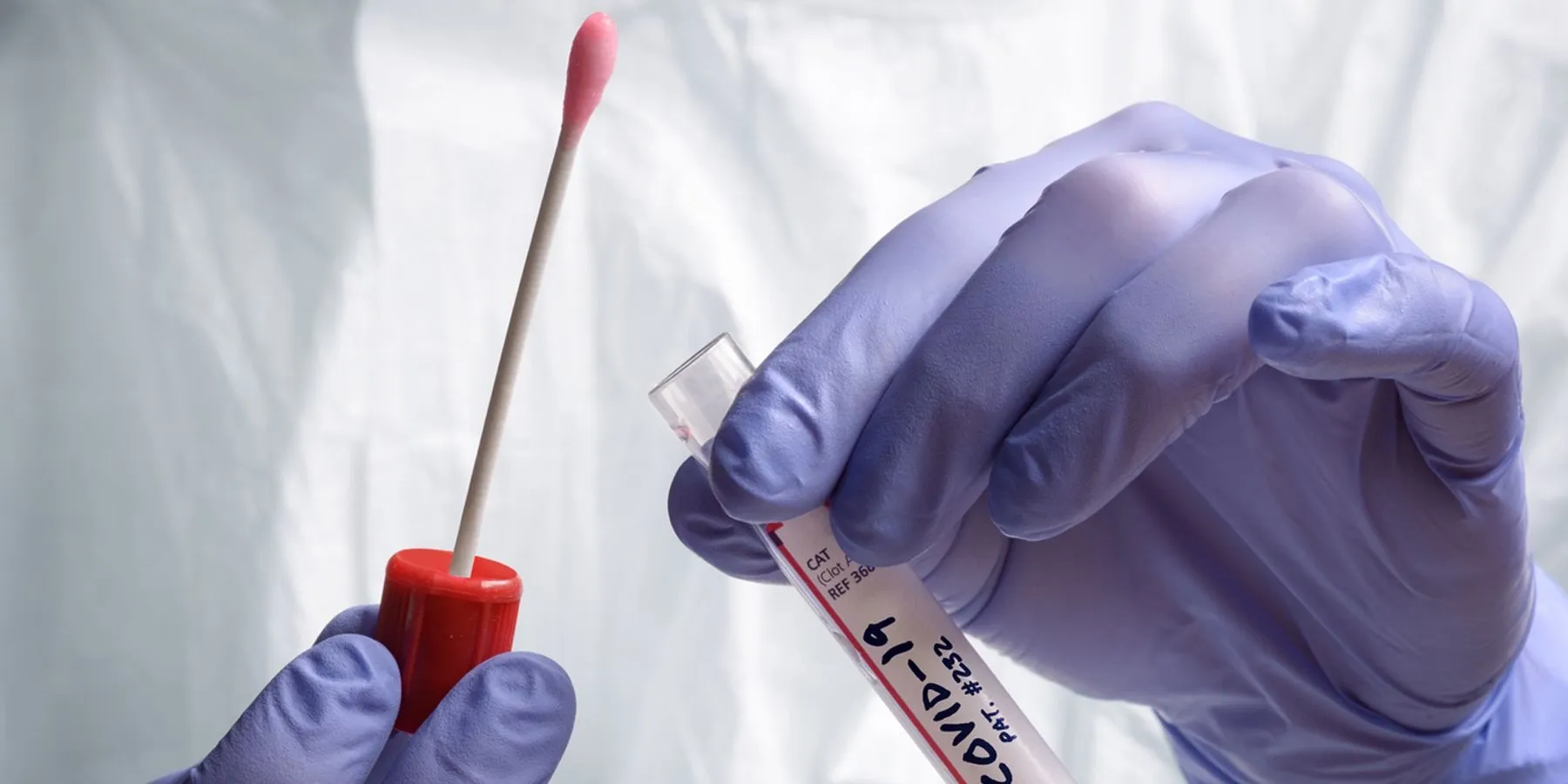 Image of a researcher holding a COVID-19 Test