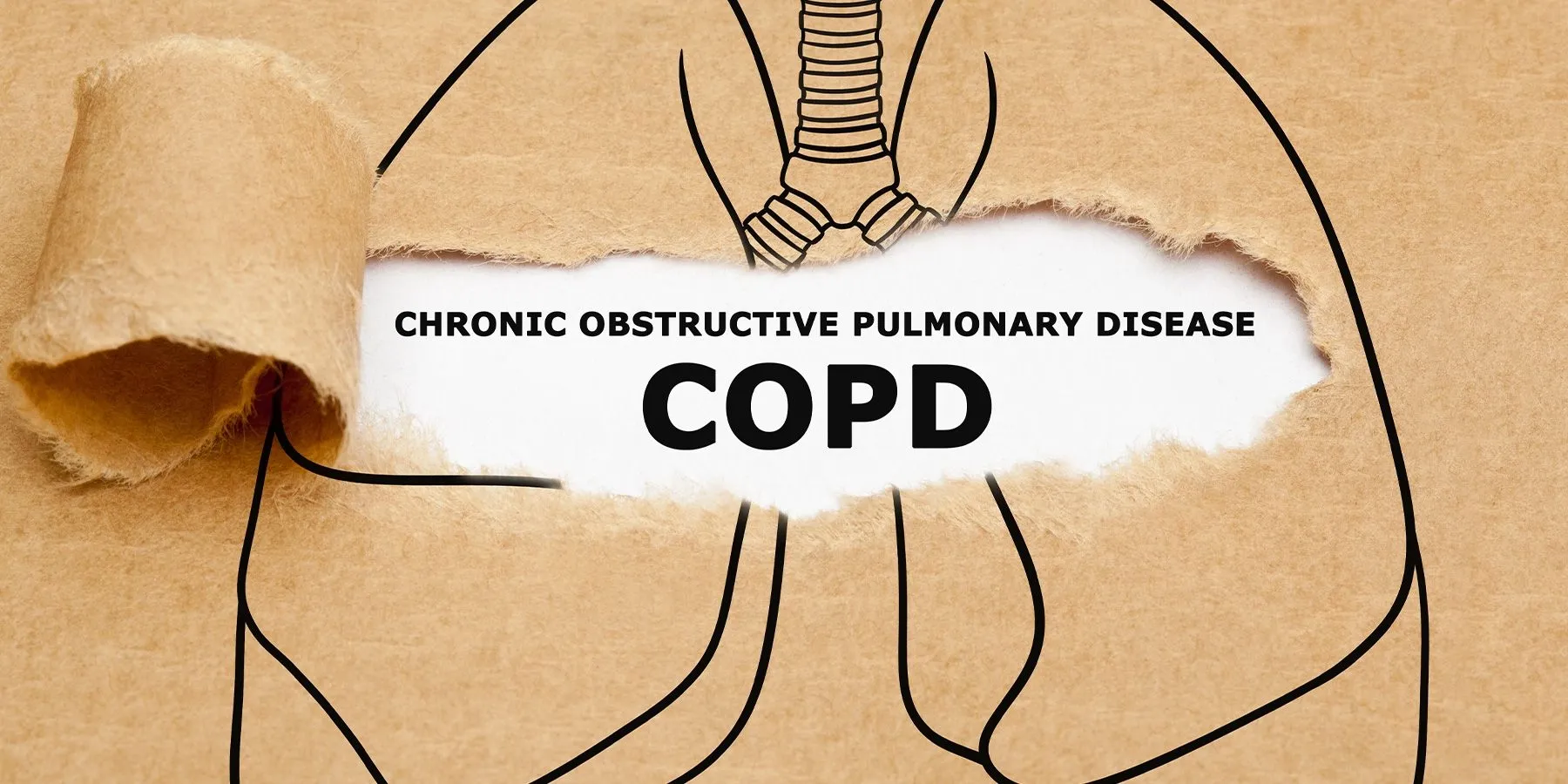Image of a cardboard set of lungs with the words COPD