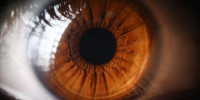 Close up of a human eye